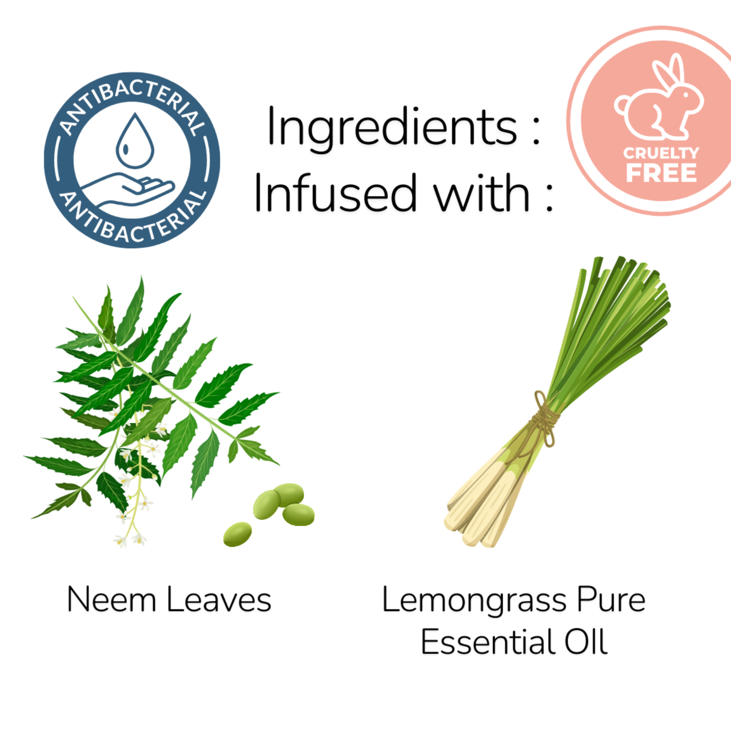 LEMONGRASS LIQUID CASTILE HAND SOAP 300ml