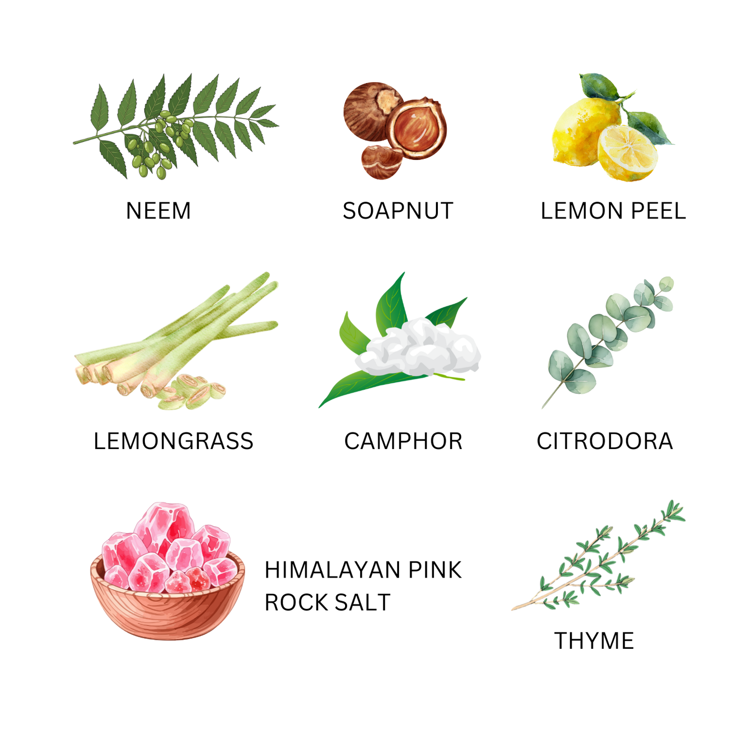 ORGANIC FLOOR CLEANER Citrodora & Camphor (1 Litre)