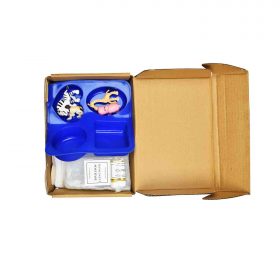 Animal Toy Soap Kit