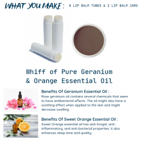 DIY Organic Lip Balm Kit